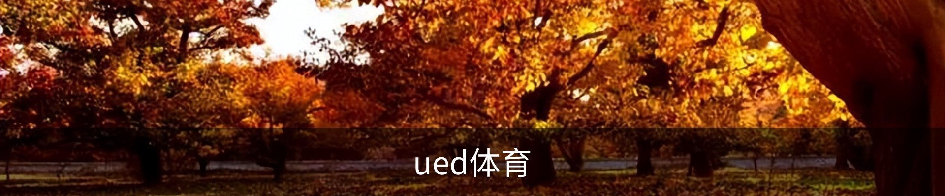 UED体育（国际）网页版登陆